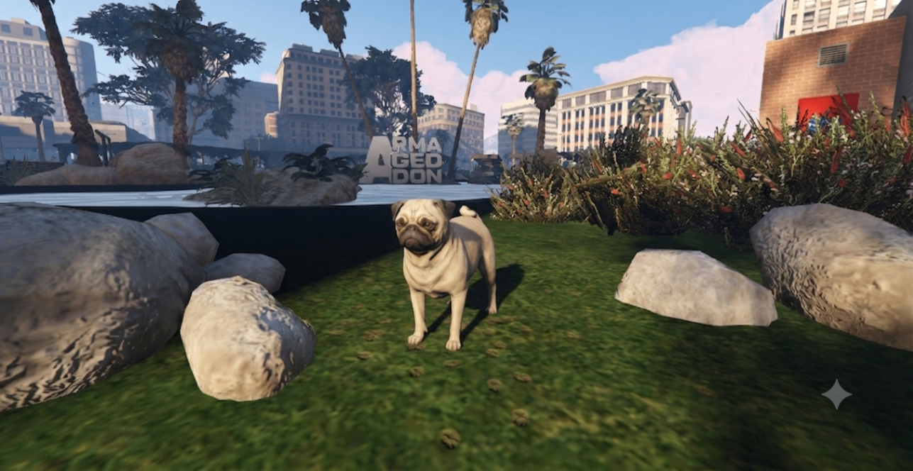 Pet Pug