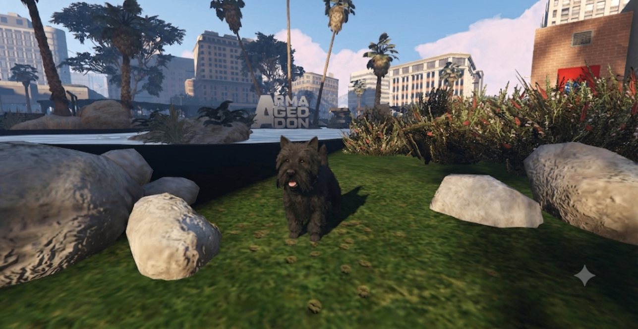 Pet Leo
